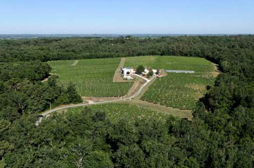 Domaine De Grand Homme Hotel Bordeaux Kültér fotó